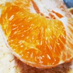 甘平・はるみ(果物・柑橘類)